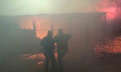 Besni’de konteyner yangını korkuttu