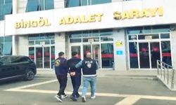 Bingöl’de 33 yıl kesinleşmiş hapis cezası bulanan zanlı yakalandı