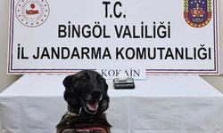 Bingöl’de uyuşturucuyla mücadele