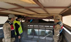 Bir ay içinde 28 düzensiz göçmen yakalandı