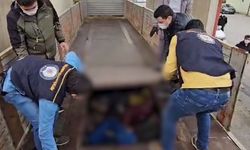 Bitlis’te 20 düzensiz göçmen yakalandı