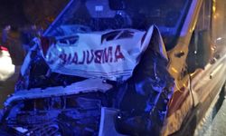 Bitlis’te ambulans mandaya çarptı