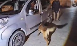 Bitlis’teki uyuşturucu operasyonunda 1 kişi tutuklandı