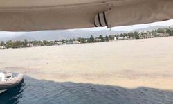 Bodrum’da sağanak sonrası deniz çamura döndü, ikiye ayrılan renk görenleri şaşırttı