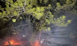 Bolu’da ormanlık alanda yangın çıktı