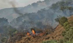 Bozdoğan’da orman yangını