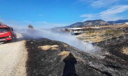 Bucak’ta arazi yangını itfaiye ekiplerince söndürüldü