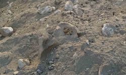 Burdur’da belediyenin kazı çalışması sırasında insan kemikleri bulundu