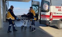 Burdur’da sokak köpekleri küçük kıza dehşeti yaşattı