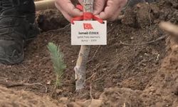 Bursa’da şehitler anısına fidan dikildi