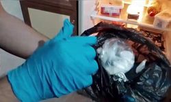 Buzdolabında kokain yakalattı, "İçiciyim" dedi ama tutuklandı