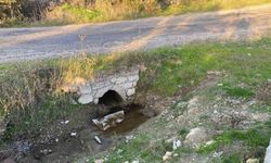 Çanakkale’de boş arazide bebek cesedi bulundu