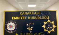 Çanakkale’de huzur uygulamalarında 2 tutuklama