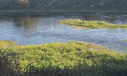 Bursa'da Canbolu Deresi’nde acı oyun: 10 yaşındaki Hızır Ali hayatını kaybetti