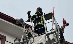 Çatıda sıkışan martıyı itfaiye kurtardı