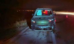 Çorum’da yola çıkan dana kazaya neden oldu: 3 yaralı