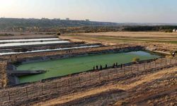 Diyarbakır’a tedavi için sevk edilip kayıplara karışan polisi arama çalışmaları 6’ıncı gününde