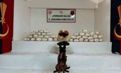 Diyarbakır’da 470 kilo skunk ve 85 kilo esrar ele geçirildi