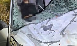 Diyarbakır’da iki otomobil ile at çarpıştı: 1 ölü, 7 yaralı