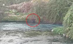 Düden Çayı’na düşen şahsı itfaiye ekipleri kurtardı