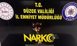 Düzce’de 2 uyuşturucu taciri tutuklandı