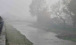 Düzce’de sis etkili oluyor