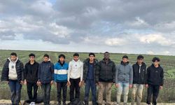 Edirne’de 10 düzensiz göçmen yakalandı