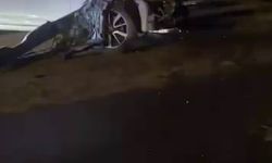 Ehliyetsiz sürücü park halindeki araçlara çarptı: 1 yaralı