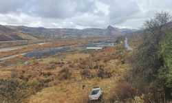 Elazığ’da kamyonet şarampole uçtu