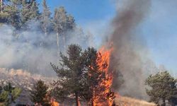 Erzurum’da orman yangını