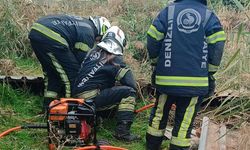 Fosseptik çukuruna düşen köpek kurtarıldı