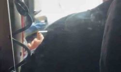 Gaziantep’te otobüs şoförü direksiyon başında video izlerken görüntülendi