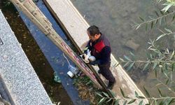 Gümüşhane’de çaya düşen yavru kediyi itfaiye ekipleri kurtardı