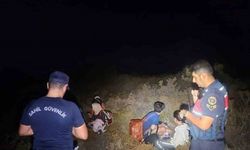 Günlüklü koyunda 3’ü çocuk 4 düzensiz göçmen yakalandı