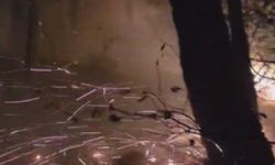 Hatay’da yıldırımın düştüğü ormanlık alandaki yangın 16’ncı saatte kontrol altına alındı