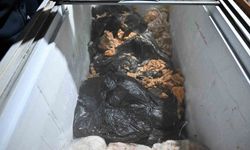 Hijyen kurallarına uymayan işletme mühürlendi