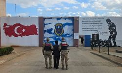 Hırsızlık suçundan 17 yıl cezayla aranan şahsı jandarma yakaladı