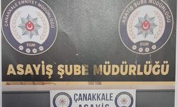 Hırsızlıktan 45 ayrı suç kaydı olan şüpheli oto hırsızlığından tutuklandı