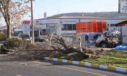 İkiye bölünen otomobil, genç arkadaşlara mezar oldu