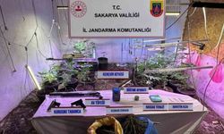 İklimlendirme sistemi ile kapalı ortamda kenevir yetiştiren şahıs tutuklandı