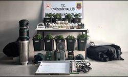 İklimlendirme sistemi kurup kenevir yetiştiren 3 kişi yakalandı