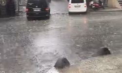 İstanbul dolu yağışı etkili oldu