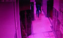 İstanbul’da karısını öldüren şahıs, Sakarya’da ölü olarak bulundu