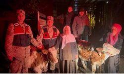 Jandarma çalınan hayvanları sahibine teslim etti