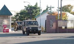 Japonya’da ayılarla mücadele çalışmalarına destek için askerler görevlendirildi