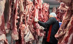 Kadıköy’de gıda ve hijyen denetimleri artırıldı: Kurallara uymayan işletmelere 15 günlük süre