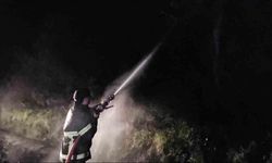 Kastamonu’da çıkan orman yangını söndürüldü