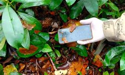 Kastamonu’da dere yatağında ölü bulunan anneye ait cep telefonu da bulundu