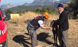 Kaya oyuğuna düşen ve 3 gün mahsur kalan keçi, film gibi operasyonla kurtarıldı