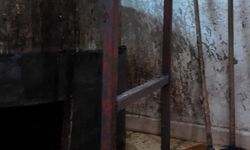 Kilis’te cevizli sucuk imalathanesinde tepki çeken görüntüler